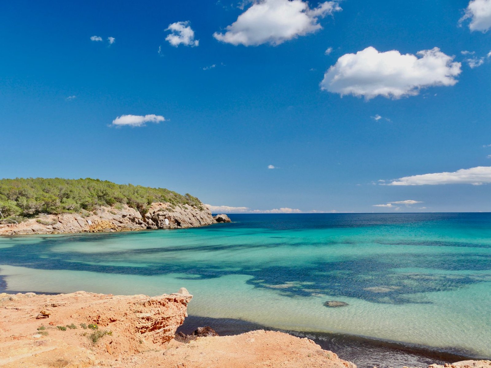 A tranquil turquoise cove surrounded by pine trees in Ibiza